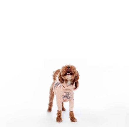 TTSWTRS for dogs