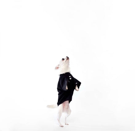 TTSWTRS for dogs