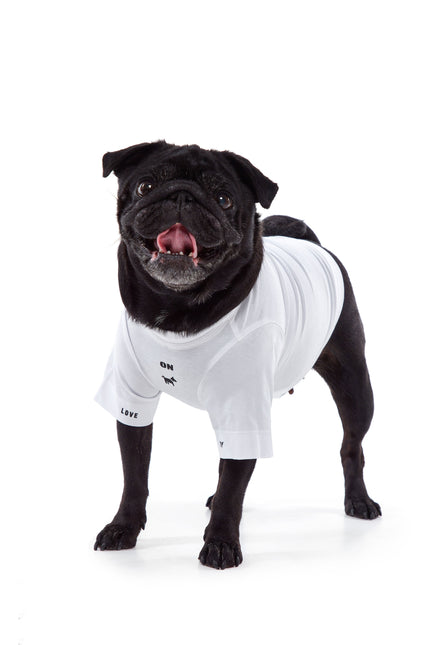 TTSWTRS for dogs