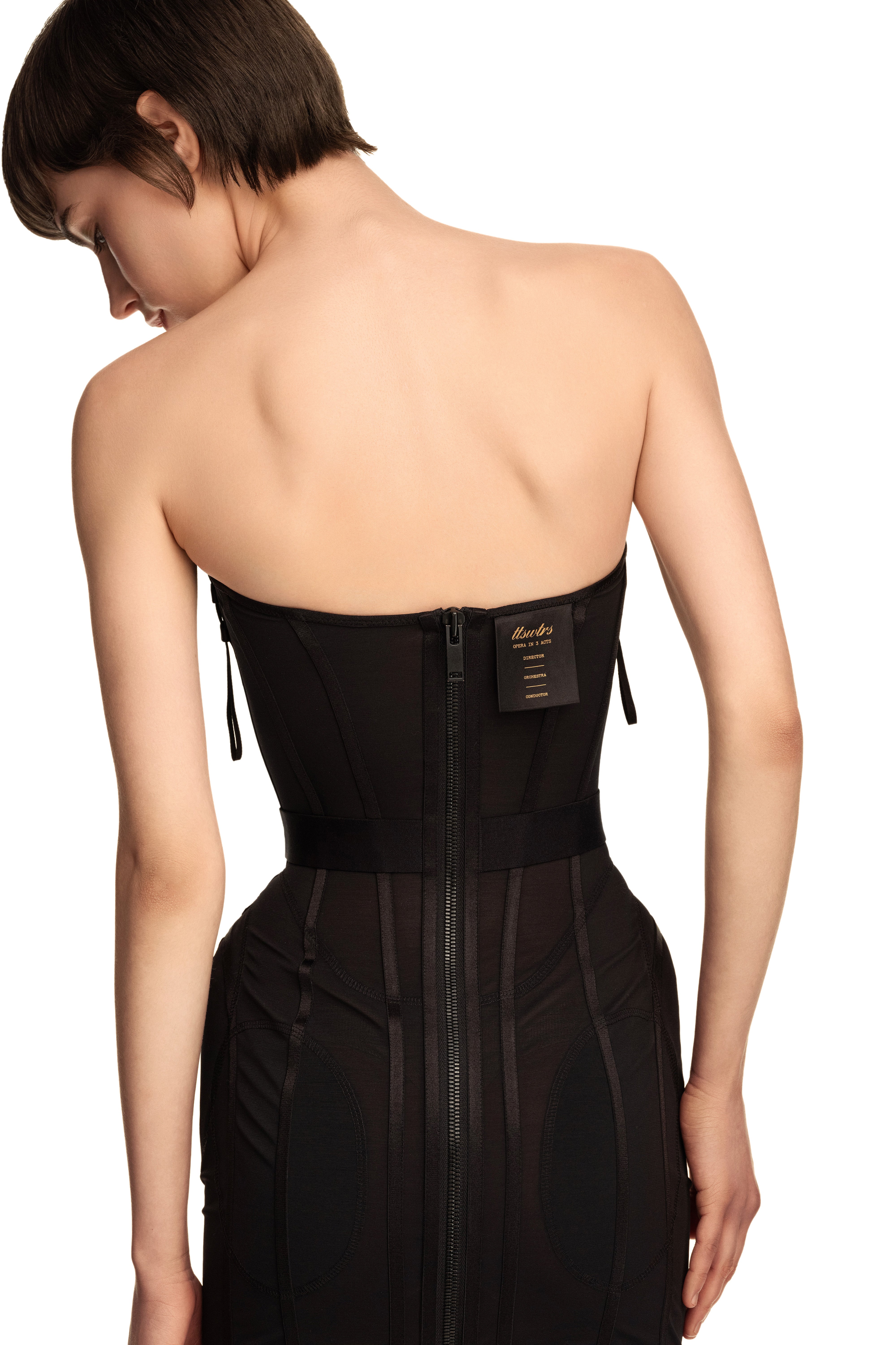 ttswtrs corset dress Stage Dress Black / L ttswtrs