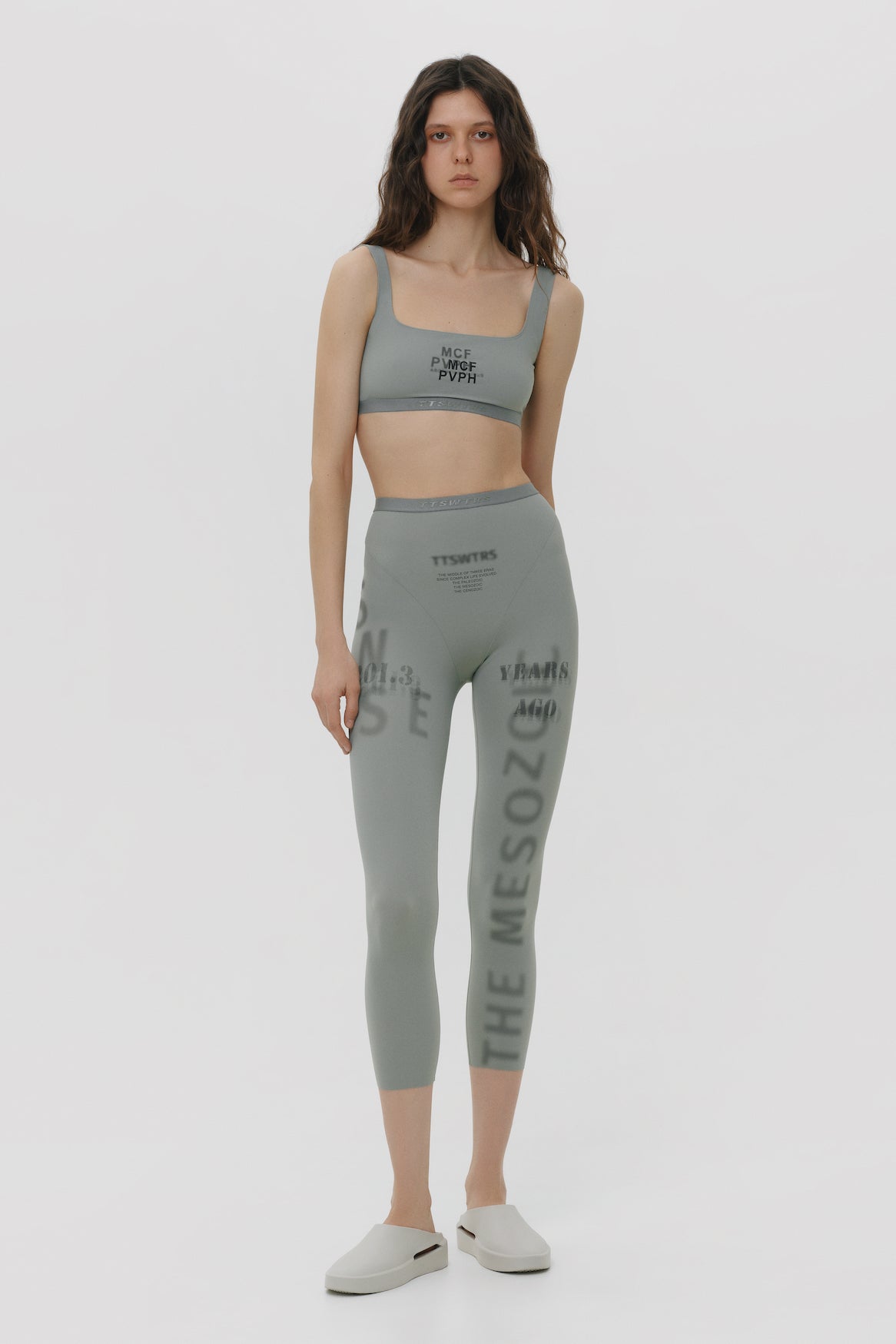 Mesozoic Top